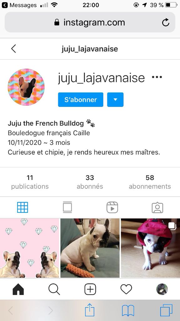 Von Boule D'esteix - Réco Juliette La Javanaise VBDE  a son Instagram !!