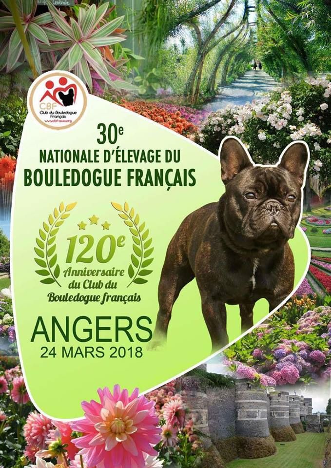 Von Boule D'esteix - Préparatifs pour notre 30ème NE à Angers 2018