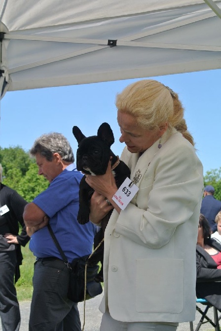 Von Boule D'esteix - Tours Vallères (37) mai 2015