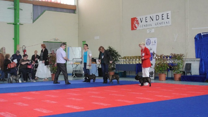 Von Boule D'esteix - La Roche sur Yon mai 2015