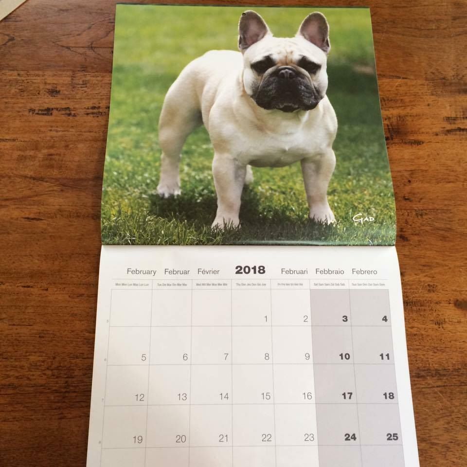 Von Boule D'esteix - Calendrier 2018 avec mes petits-enfants