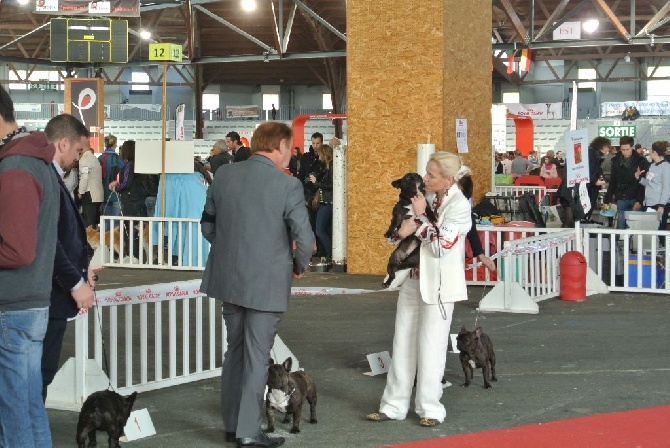 Von Boule D'esteix - Poitiers 2015