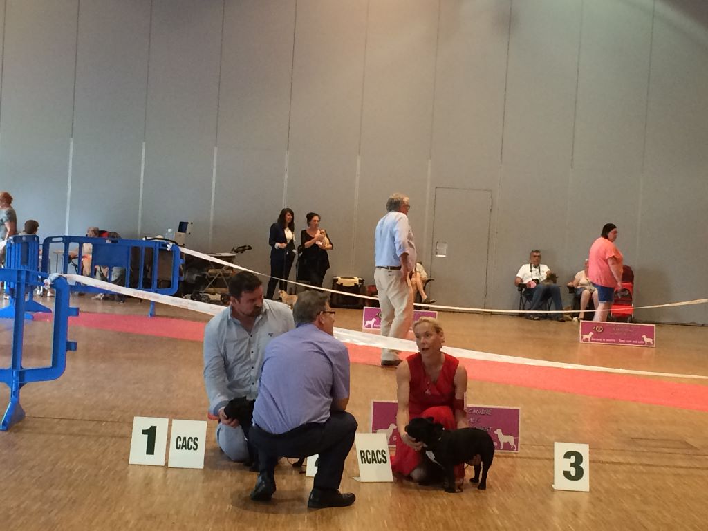 Von Boule D'esteix - Chateaubriand 44 - juillet 2017