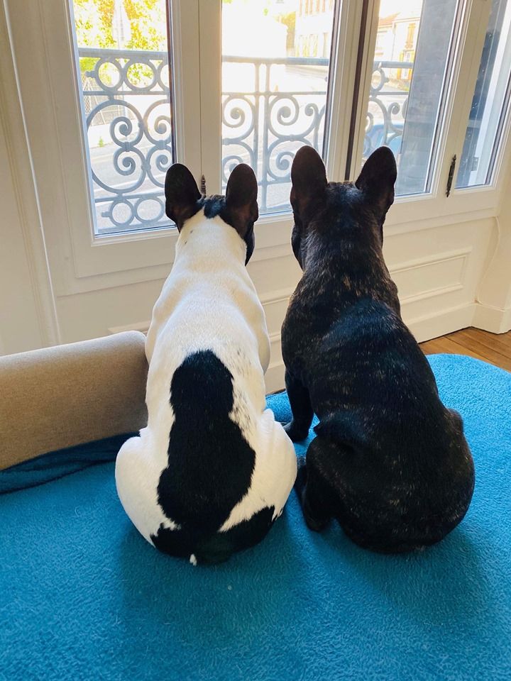 Von Boule D'esteix - Otis Reding & Pablo Picasso Von Boule d'Esteix