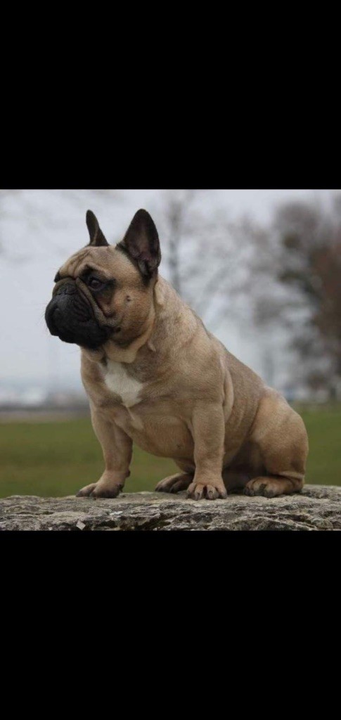 Von Boule D'esteix - Roger Moore Von Boule D?Esteix