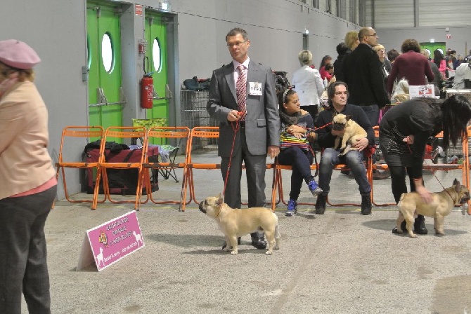 Von Boule D'esteix - Nantes 2015
