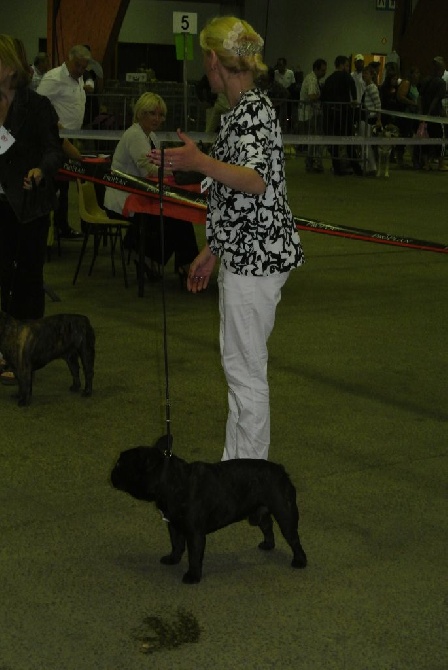 Von Boule D'esteix - Chartres juin 2015