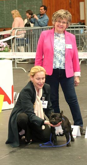 Von Boule D'esteix - Chateauroux (36) avril 2014 Iromy Schneider du Domaine de Liana 1er ex