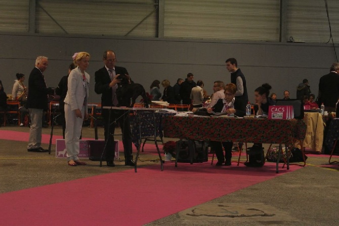 Von Boule D'esteix - Nantes 2015