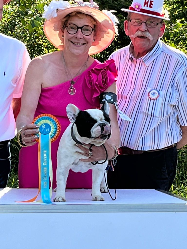 Von Boule D'esteix - O' RHETT BUTLER VBDE Champion de France Périgueux 2022