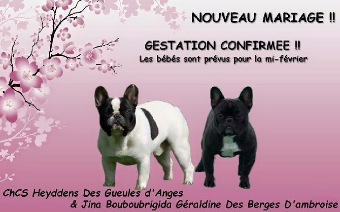 Von Boule D'esteix - Jina & Heyddens