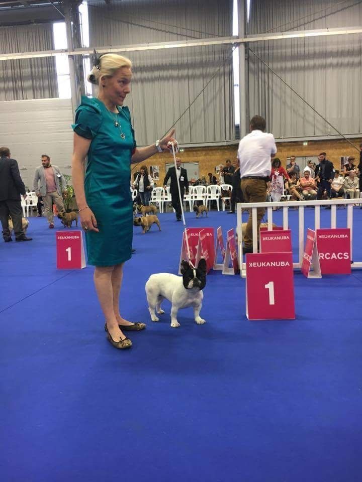 Von Boule D'esteix - Championnat de France 2017 Nantes