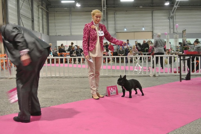 Von Boule D'esteix - NANTES (44) CACS décembre 2014