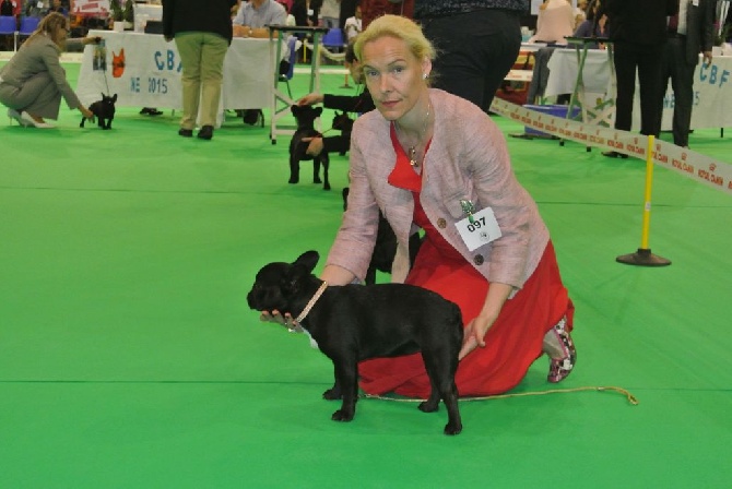 Von Boule D'esteix - NE National d'Elevage de DOUAI 2015