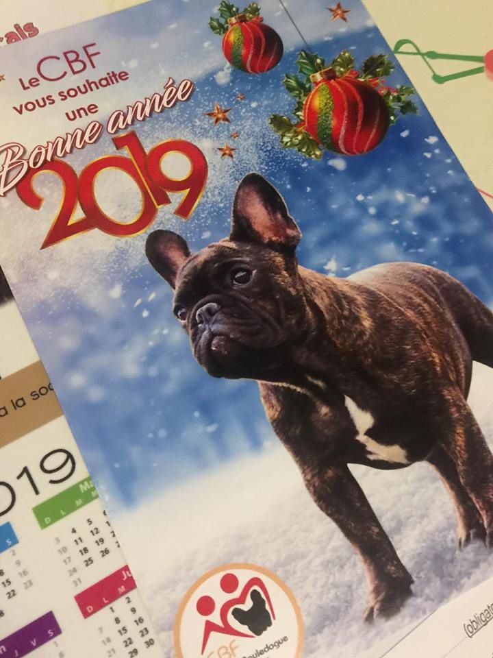 Von Boule D'esteix - Nouvelle année !!! Nouveaux projets !!!