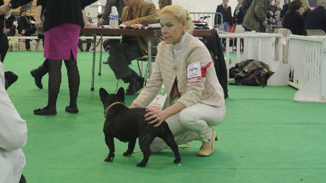 Von Boule D'esteix - ANGERS (49) Spéciale de Race 2015