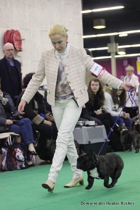 Von Boule D'esteix - ANGERS (49) Spéciale de Race 2015