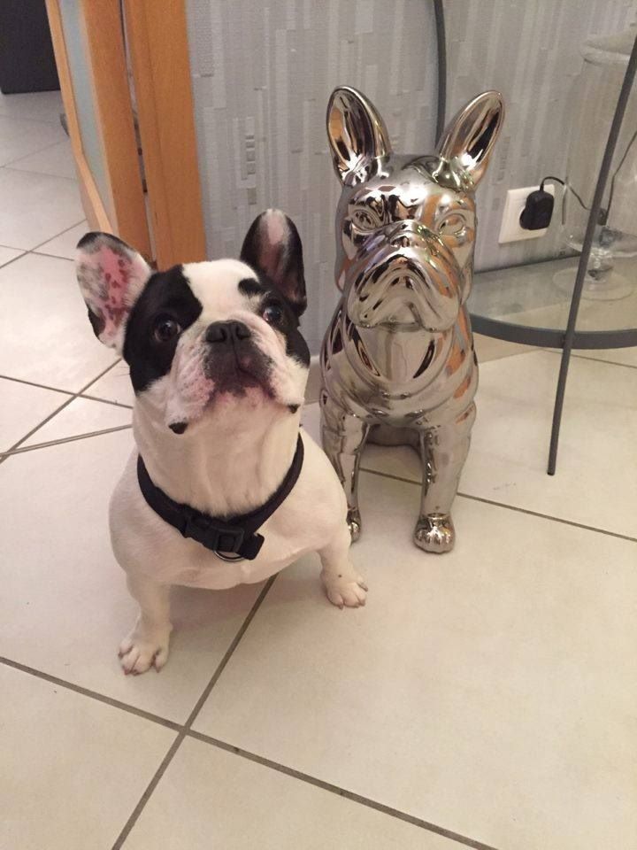 Von Boule D'esteix - Bon anniversaire les petits de Romy & Eden
