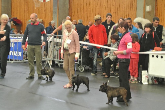 Von Boule D'esteix - Chateauroux (36) avril 2015