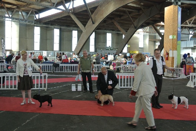 Von Boule D'esteix - Poitiers octobre 2014