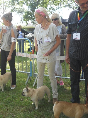 Von Boule D'esteix - RE BOULEDOGUE 44 - 2012