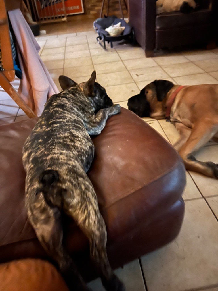Von Boule D'esteix - Tahiti en pleine sieste !!!!!