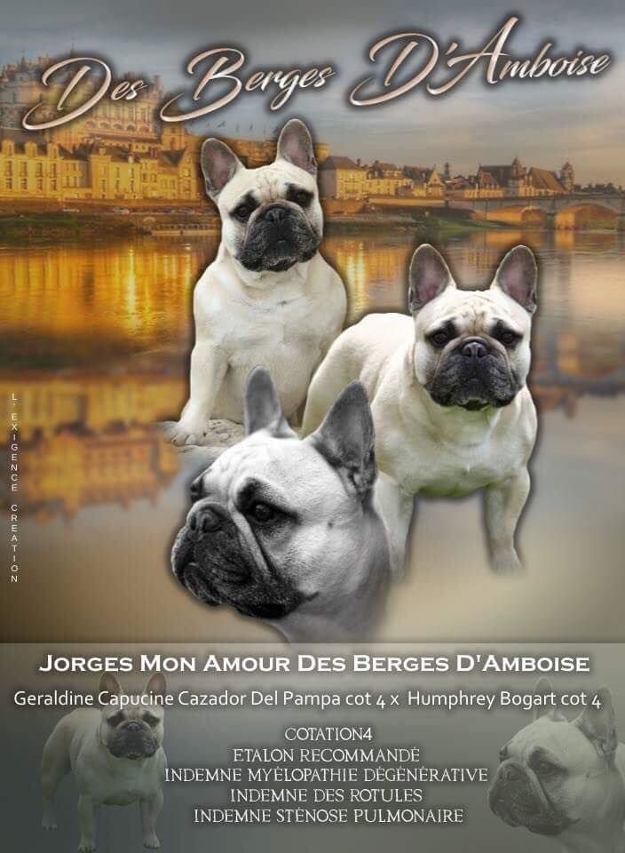Von Boule D'esteix - Mon petit fils Jorges Mon Amour des Berges d'Amboise