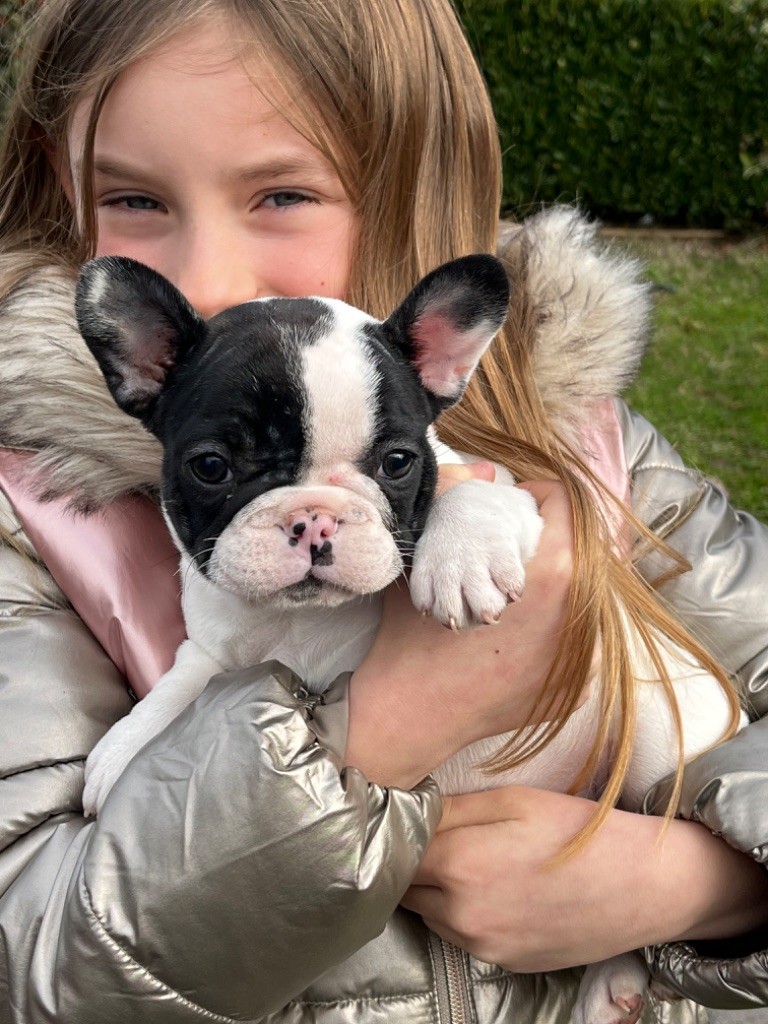 Von Boule D'esteix - Arrivée de mon arrière petite fille ! Princesse !