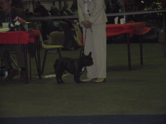 Von Boule D'esteix - Chartres juin 2016