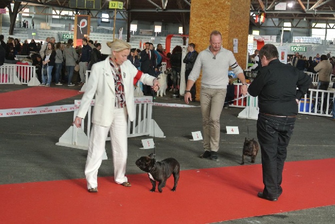 Von Boule D'esteix - Poitiers 2015
