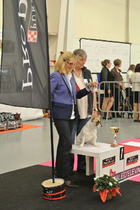 Von Boule D'esteix - Nationale d'Elevage Orleans 2014