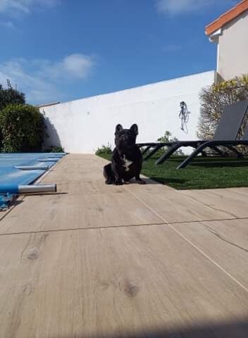 Von Boule D'esteix - Confinement chez Nicolaï Le Tsar VBDE à Arcachon !!!