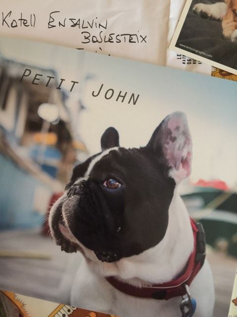 Von Boule D'esteix - JFK John John Steed Von Boule d'Esteix