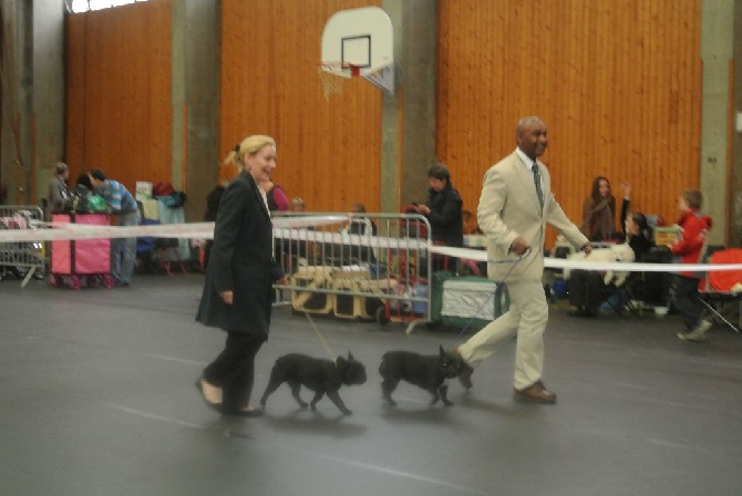 Von Boule D'esteix - Chateauroux (36) avril 2014 I Am The King du Domaine de Liana 1er ex