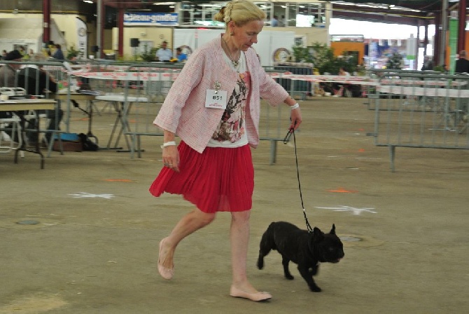 Von Boule D'esteix - Chateau Gontier (53) aoùt 2015
