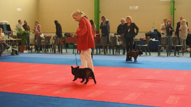 Von Boule D'esteix - La Roche sur Yon mai 2015