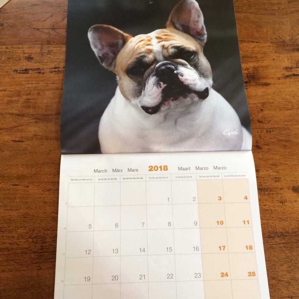 Von Boule D'esteix - Calendrier 2018 avec mes petits-enfants