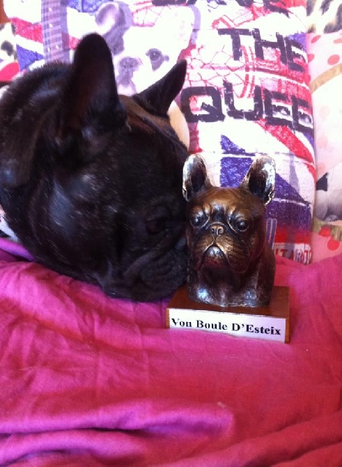Von Boule D'esteix - Un super cadeau venu d'Espagne pour mon anniversaire !!