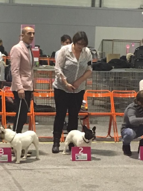 Von Boule D'esteix - Spéciale de Race Nantes déc 2016