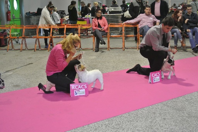 Von Boule D'esteix - Nantes 2015