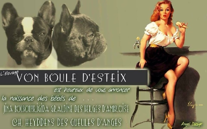 Von Boule D'esteix - les petits bouts sont arrivés !!
