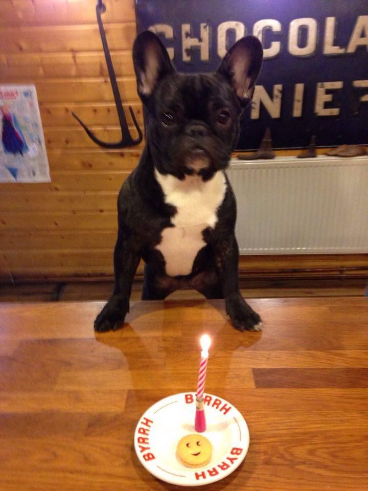 Von Boule D'esteix - Bon anniversaire les petits !!!!!