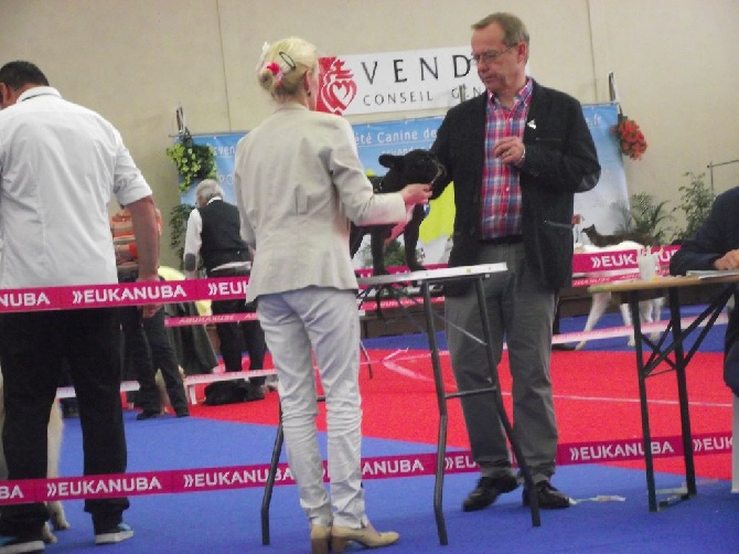 Von Boule D'esteix - La Roche sur Yon mai 2016