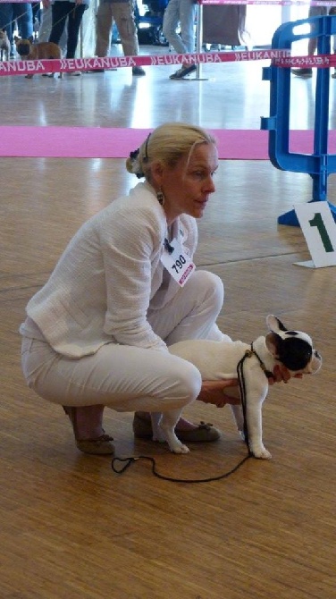 Von Boule D'esteix - Chateaubriand 44 - juin 2016