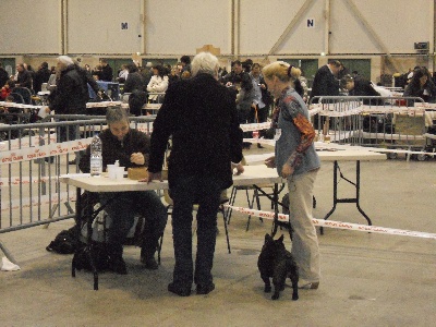 Von Boule D'esteix - Niort 2013