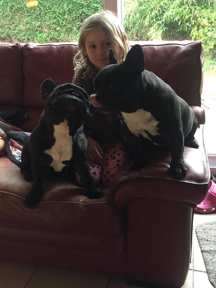 Von Boule D'esteix - Mère & Fille !! Juliette & iromy
