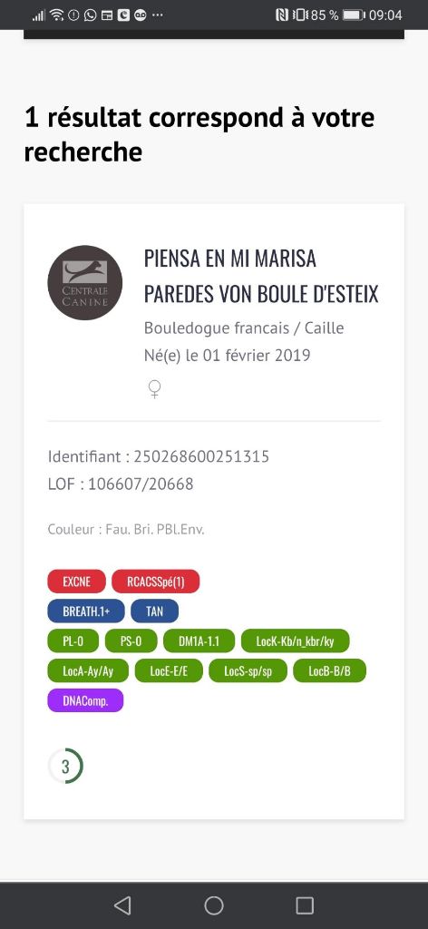 Von Boule D'esteix - Piensa En Mi Marisa Paredes Von Boule D'Esteix
