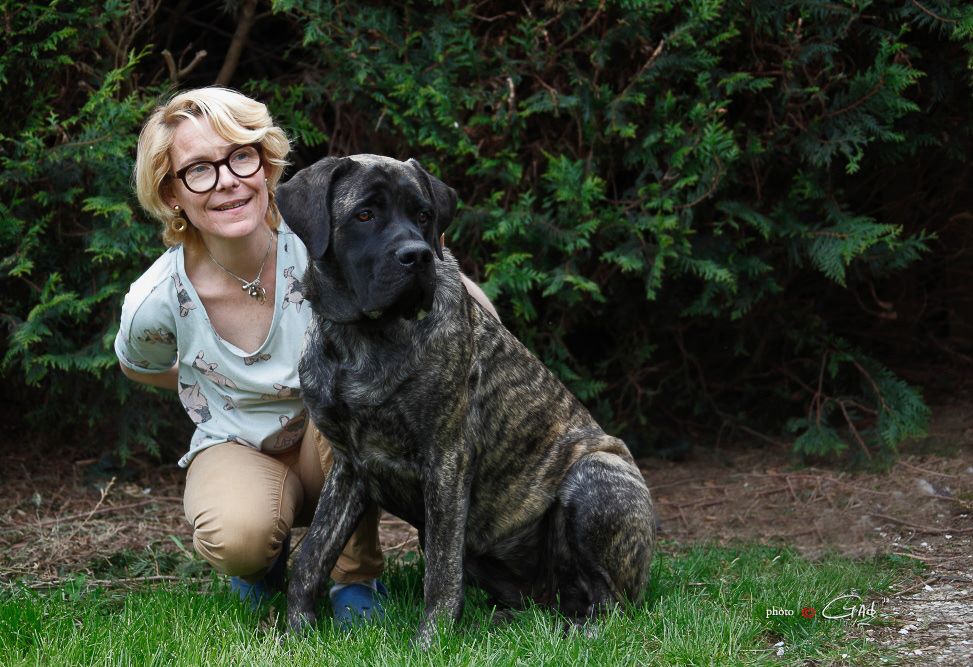 Von Boule D'esteix - Pupuce Ombeline Olga Queen de Bel Eva Mastiff