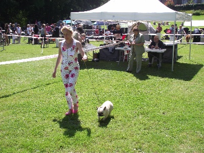 Von Boule D'esteix - DINARD 2012