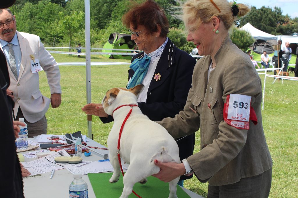 Von Boule D'esteix - Vallères- Tours 37 mai 2017